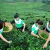 Comunidad empresarial de Vietnam busca encaminarse hacia desarrollo sostenible
