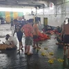 Al menos tres muertos y 69 desaparecidos tras incendiarse un ferry en Filipinas