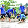 Jóvenes voluntarios de Vietnam, una historia gloriosa de 20 años 