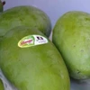 Conquista mango vietnamita mercado de Chile