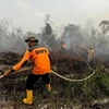 Suspenden varias escuelas en Indonesia actividades por humo de incendios forestales