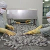 Superan exportaciones de camarones vietnamitas 1,93 mil millones de dólares