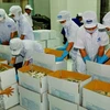 Industria de procesamiento y envasado de Vietnam registra crecimiento estable