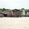 Instan en Vietnam a inspeccionar situación de erosión en Delta de Mekong