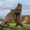 Detiene Indonesia plan para cerrar el Parque Nacional de Komodo