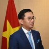 Asiste Vietnam a reuniones del Grupo encargado de Iniciativa para Integración de ASEAN