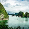 Proyectan mejorar propaganda en el exterior del turismo de Vietnam 