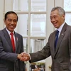 Alcanzan Singapur e Indonesia acuerdo sobre temas aéreos y militares