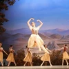  Pondrán en escena en Vietnam el ballet clásico mundial Giselle 