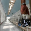 Condenan en Tailandia a un traficante de personas a 374 años de prisión 