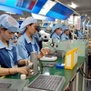 Sector privado, pilar de la economía de Vietnam 