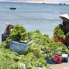 Proyectan Vietnam y Corea del Sur hacia una economía verde