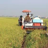 Provincia vietnamita de Vinh Phuc impulsa desarrollo de industria en zonas rurales