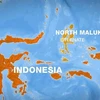 Peligro de tsunami en Indonesia