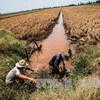 Pronostican empeoramiento de salinización en Delta de Mekong
