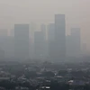 Registra Indonesia cientos de miles de muertos por contaminación