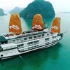 Lanzan crucero Paradise Sails en Bahía de Ha Long