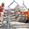 Exportaciones de cemento vietnamita registran número récord en 2019