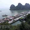 Aclara Vietnam información sobre prohibición a crucero con turistas extranjeros