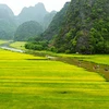 Pospone provincia vietnamita de Ninh Binh inauguración del Año Nacional de Turismo 2020