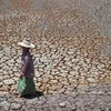 Garantiza Tailandia el suministro de agua limpia durante la sequía