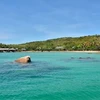 Isla vietnamita Ca Voi entre 10 principales destinos de buceo para 2020