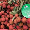 Lichi de Luc Ngan entre los productos típicos de provincia vietnamita de Bac Giang