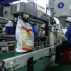 Vietnam por superar a Tailandia en exportaciones de arroz, según expertos