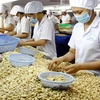 Vietnam registra ingreso multimillonario por exportaciones de productos agrosilvícolas y acuícolas