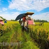 Agradece Vietnam contribución de diplomático japonés en prevención de desastres naturales