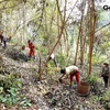 Vietnam restaura siete hectáreas de hábitat forestal para especies en peligro de extinción