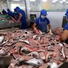 Disminuyen exportaciones pesqueras de Vietnam por COVID-19