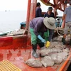 Provincia vietnamita se incorpora al combate contra pesca ilegal