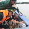 Provincia vietnamita prohíbe faena de barcos pesqueros sin equipo de monitoreo