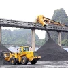 Grupo Industria de Carbón y Minería de Vietnam establece meta para el segundo trimestre
