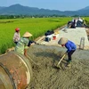 Apoyan a provincia vietnamita de Thanh Hoa en construcción de nueva ruralidad