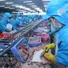 Disminuyen exportaciones pesqueras de Vietnam en primer tercio del año