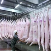 Vietnam pondrá en funcionamiento primer matadero porcino en el norte