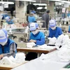 Vietnam por garantizar la producción y exportación en medio del COVID-19