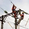 Camboya reduce precios de electricidad para restaurar la economía