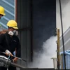 Provincia de Tailandia enfrenta brote de dengue