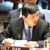 Vietnam promoverá el multilateralismo y derecho internacional
