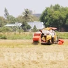 Vietnam por acelerar la mecanización de la agricultura e industria de procesamiento