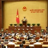 Parlamento de Vietnam sancionará resolución sobre programa de supervisión en 2021
