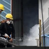 Aumentan repentinamente a más de 10 mil los casos de dengue en Singapur