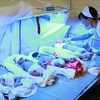 Más de 20 provincias vietnamitas registran baja tasa de fertilidad