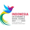 Elegida Indonesia como miembro de ECOSOC