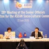 Países de la ASEAN prosiguen con el plan de su Comunidad Sociocultural para 2025