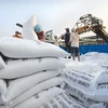 Precios mundiales de exportación del arroz caen al nivel mínimo en dos meses