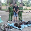 Detectan en Vietnam caso de transportación ilegal de animales silvestres